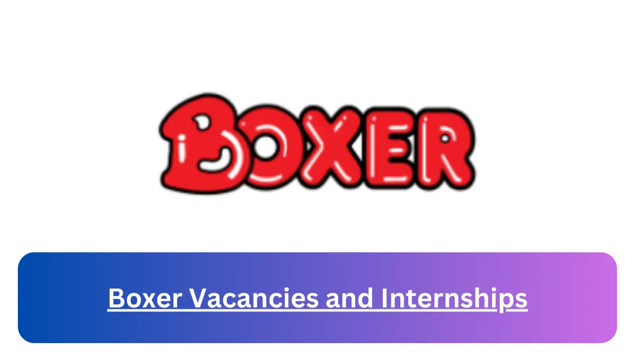 X5 Boxer Vacancies 2024 Latest Jobs For Matriculants Available www